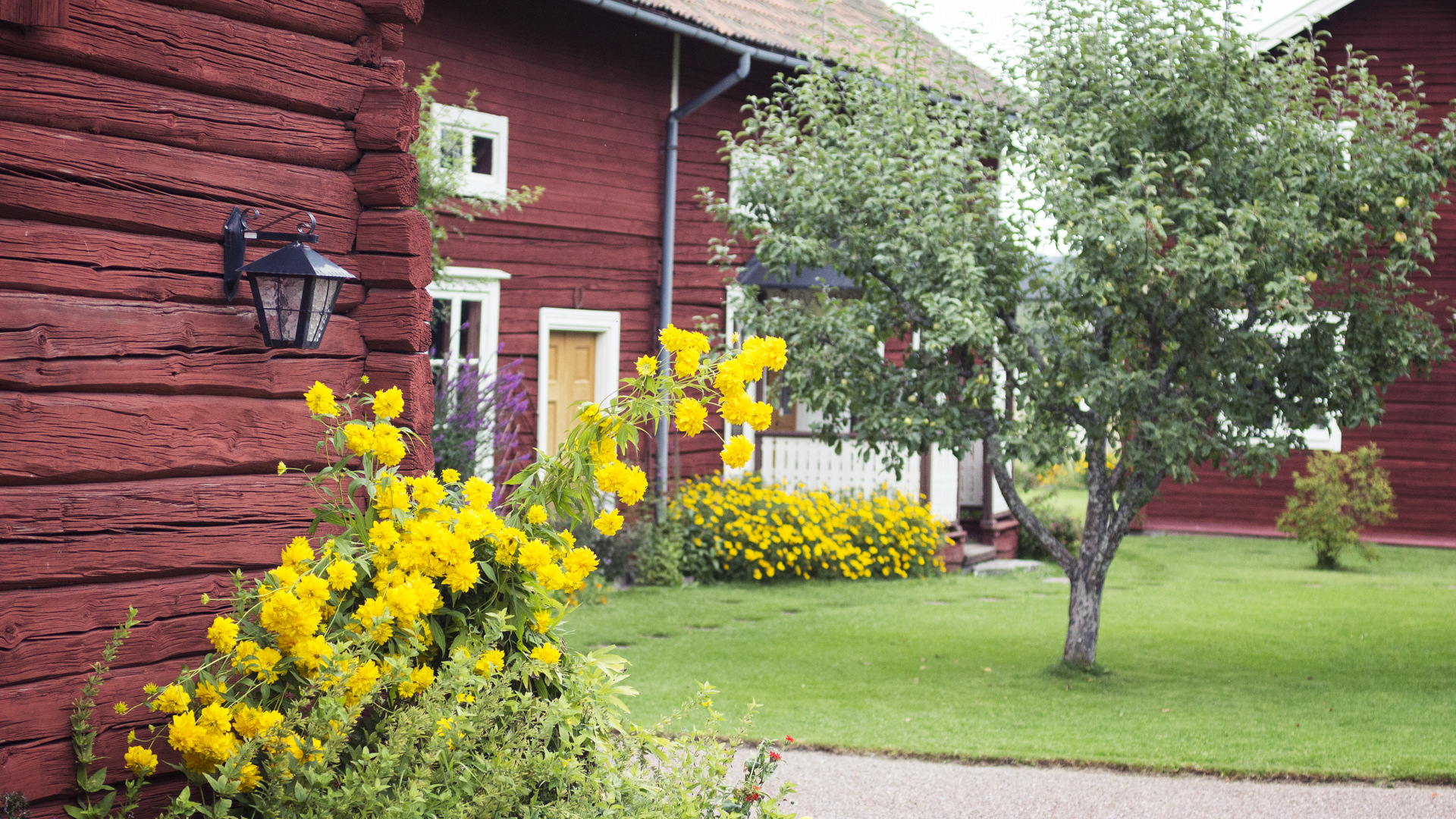 Redpainted timbered cottages.