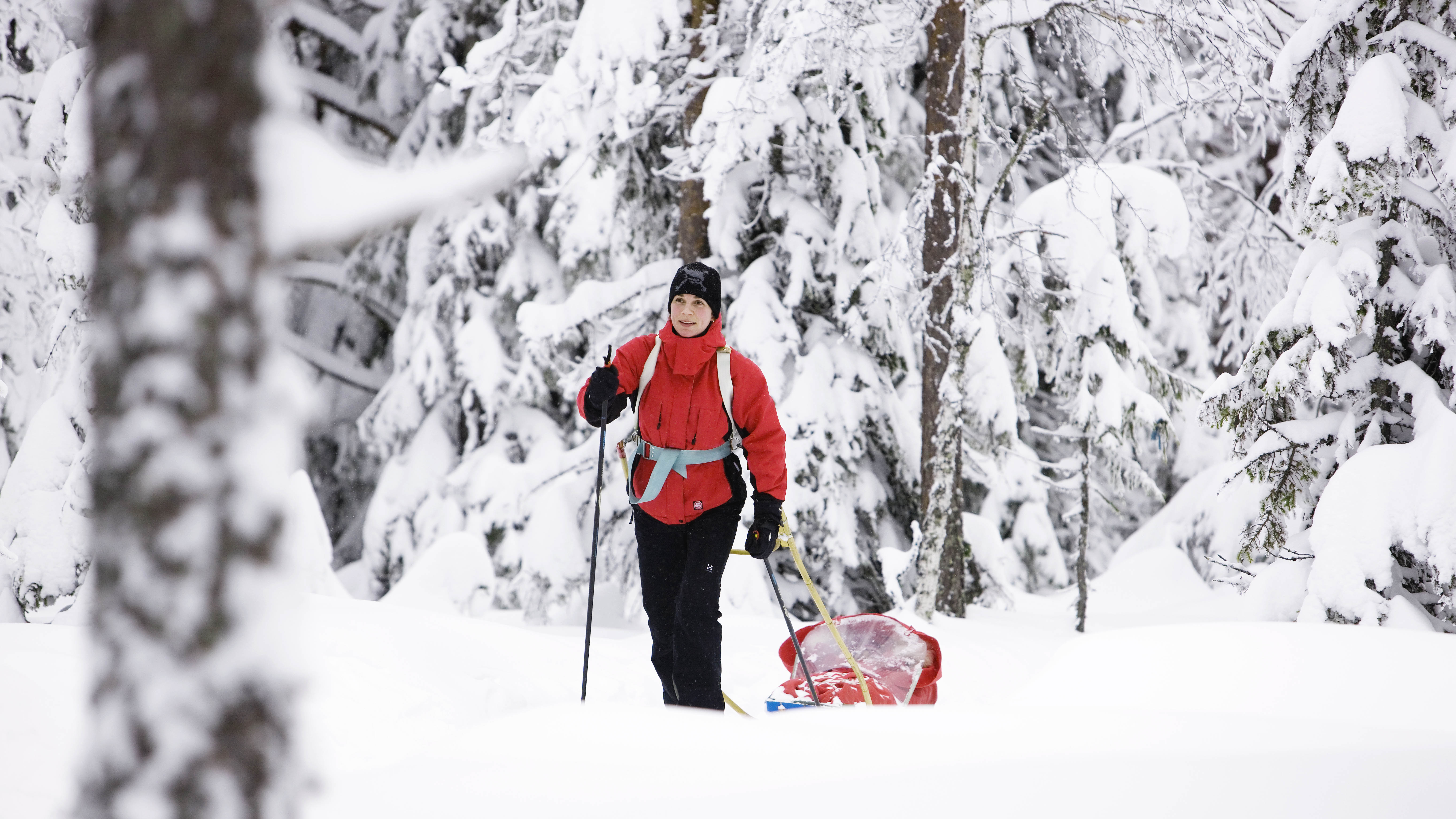 Längdskidåkare längs ett spår.
