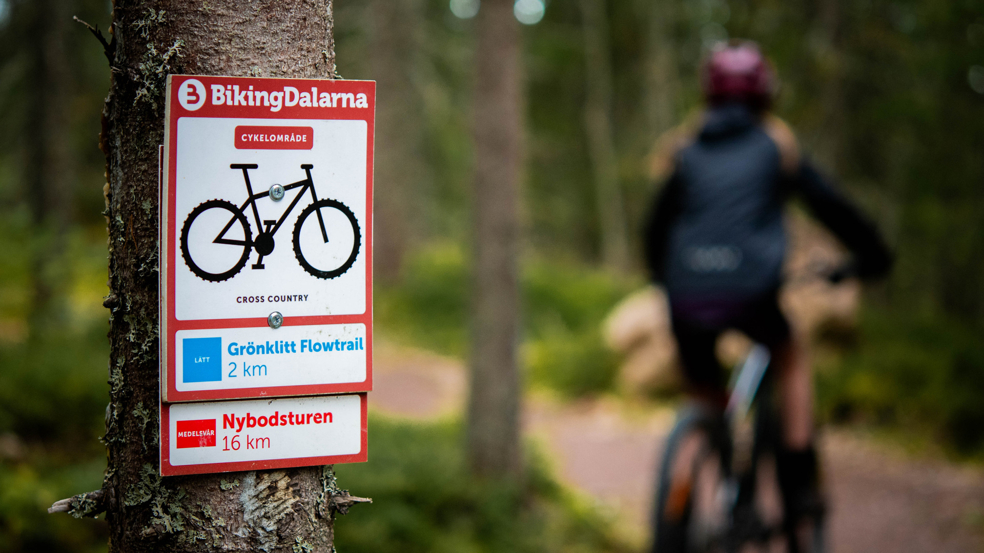 Bild på cykelled och ledmarkering.