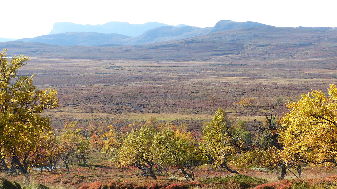 Rundhögda i Grövelsjön, dit det är möjligt att göra en utflykt från Lövåsgården.