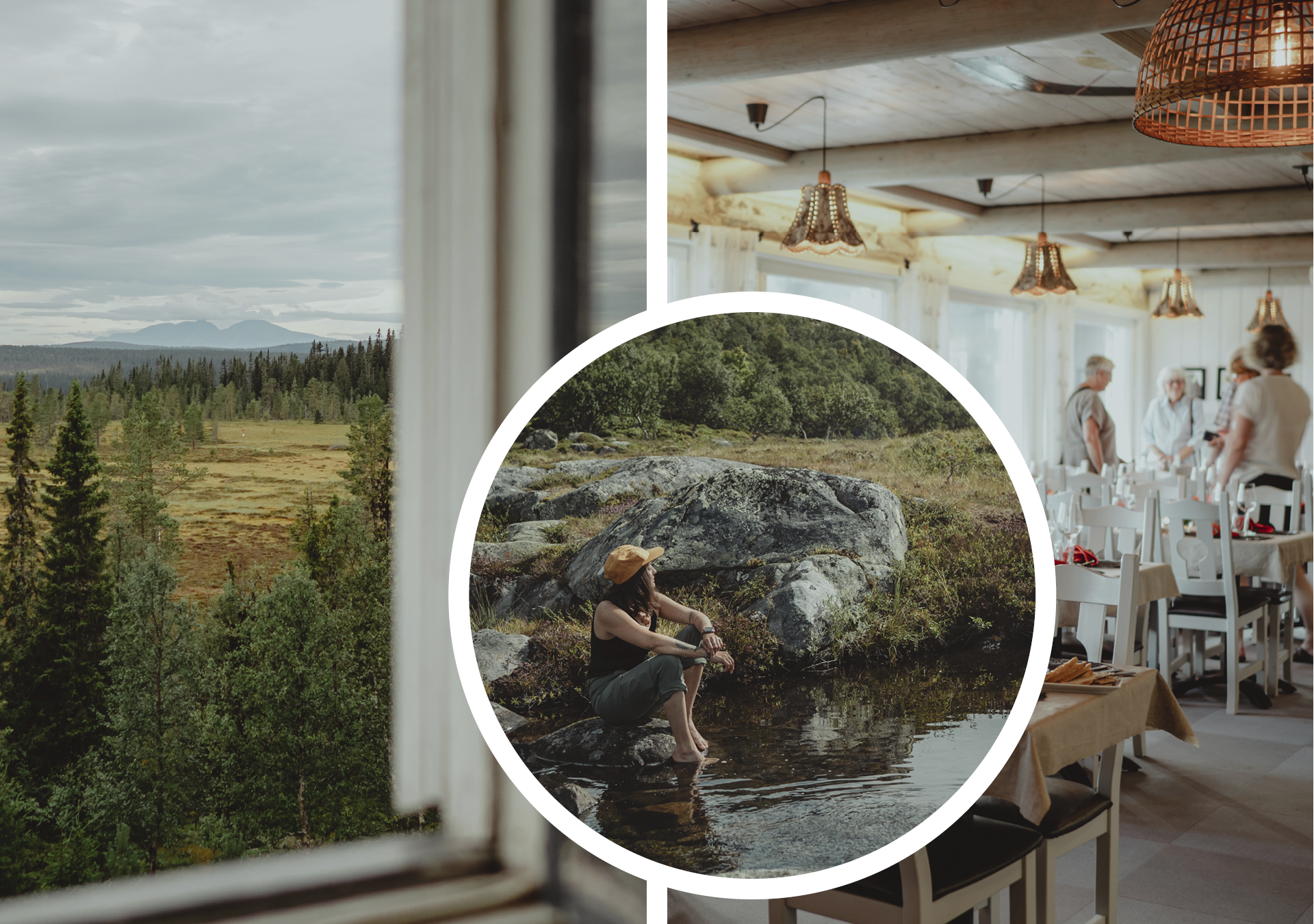 Pictures of Lövåsgårdens Fjällhotell.