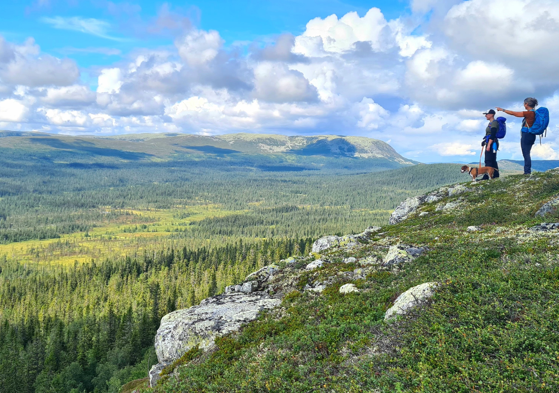 Magic view over the nature.
