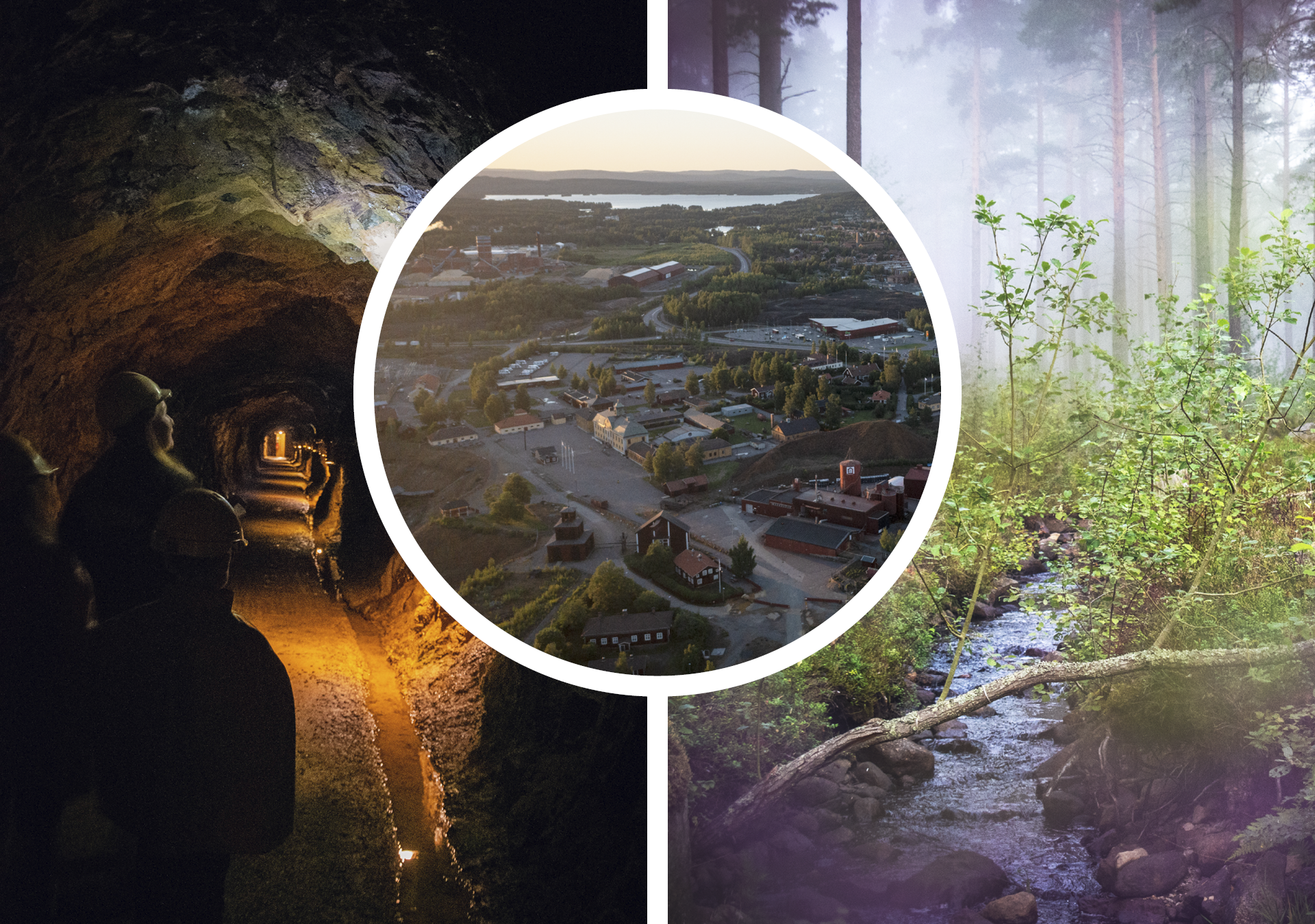 Pictures of activities.