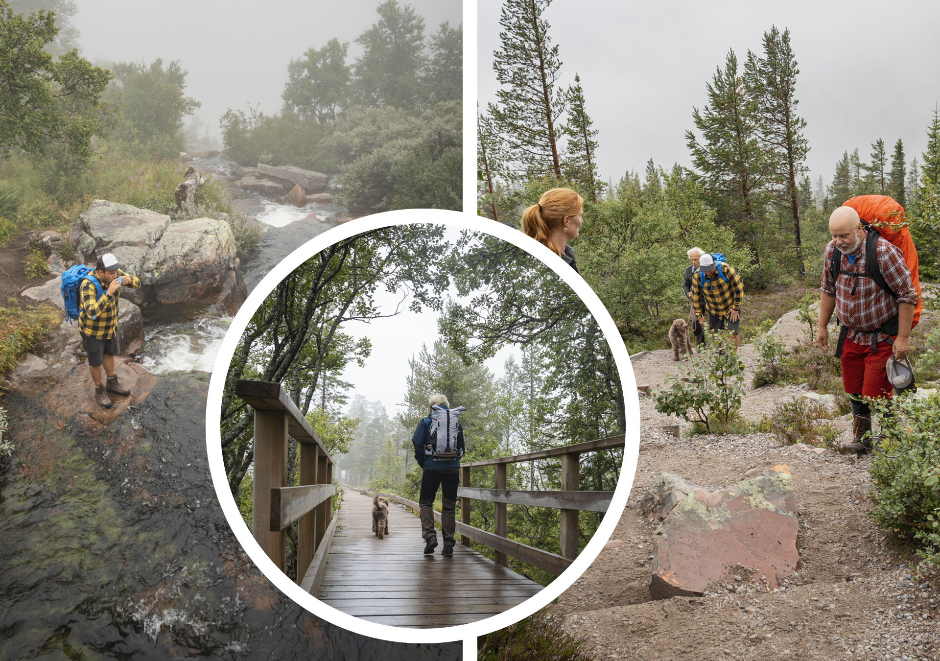 People hiking at Fulufjället national park.
