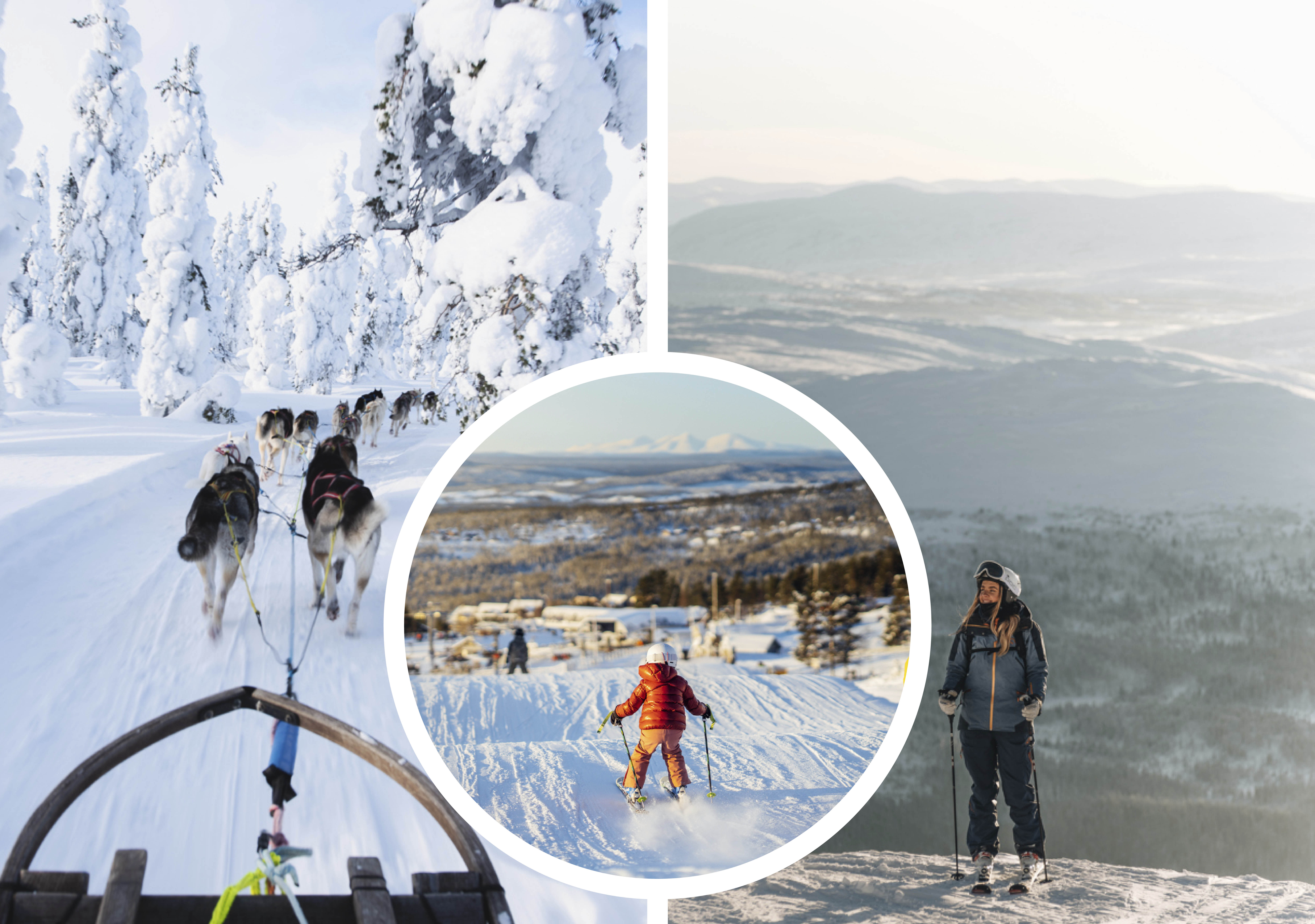Dog sledding. . A girl on the top of the slope with at great view over the mountains.