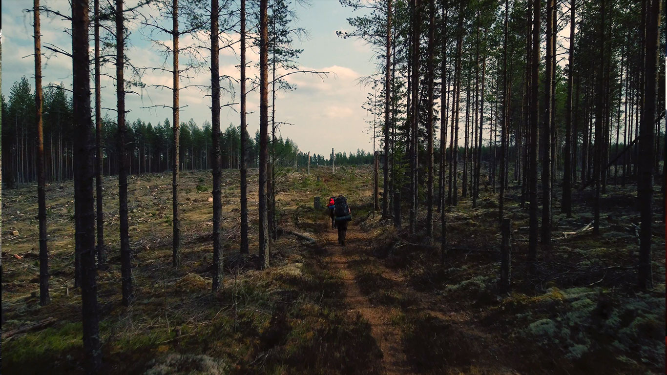 Hiking through he forests of Dalarna, along the Siljansleden trail.
