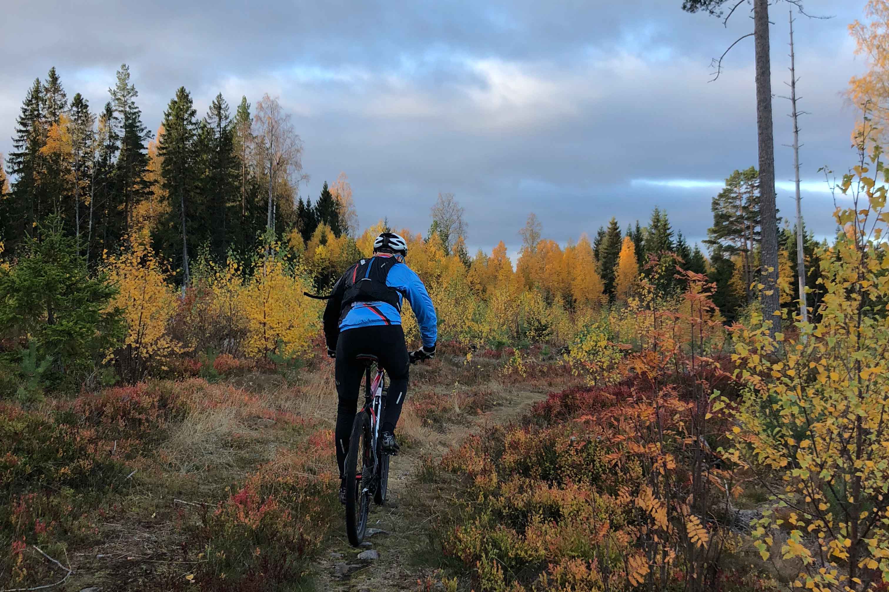 Cyklist i Siljansnäs.