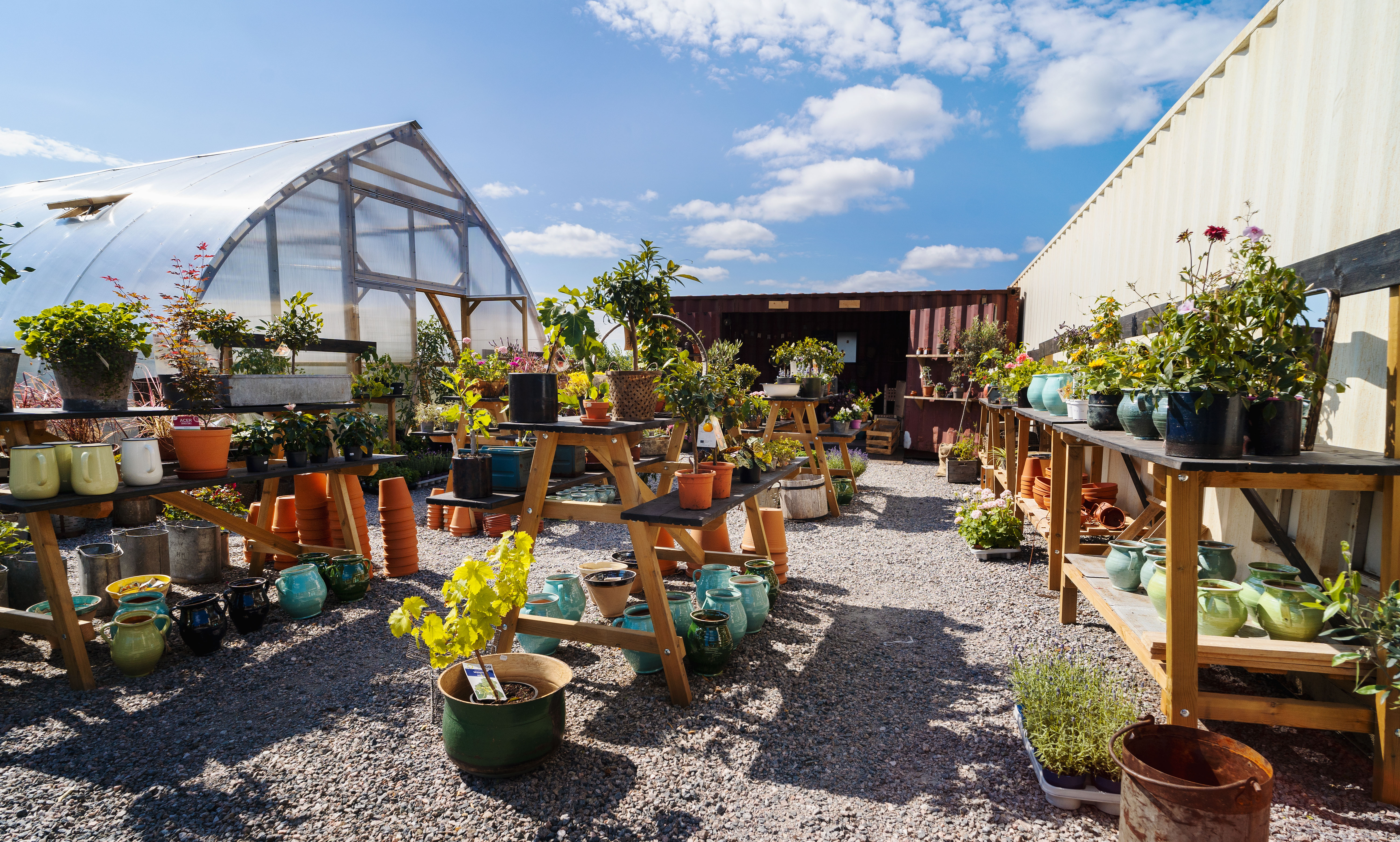 Gårdsplanen och växthuset vid Skedvi Bröd.