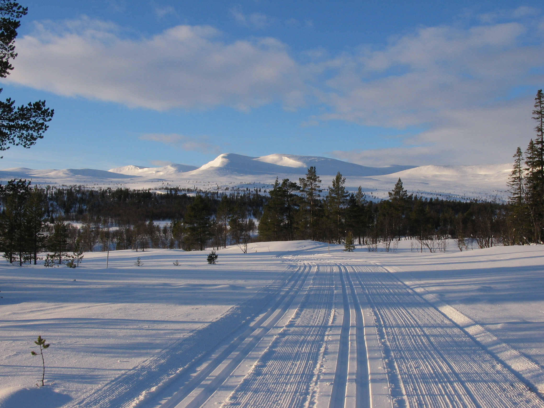 Skidspår Grövelsjön