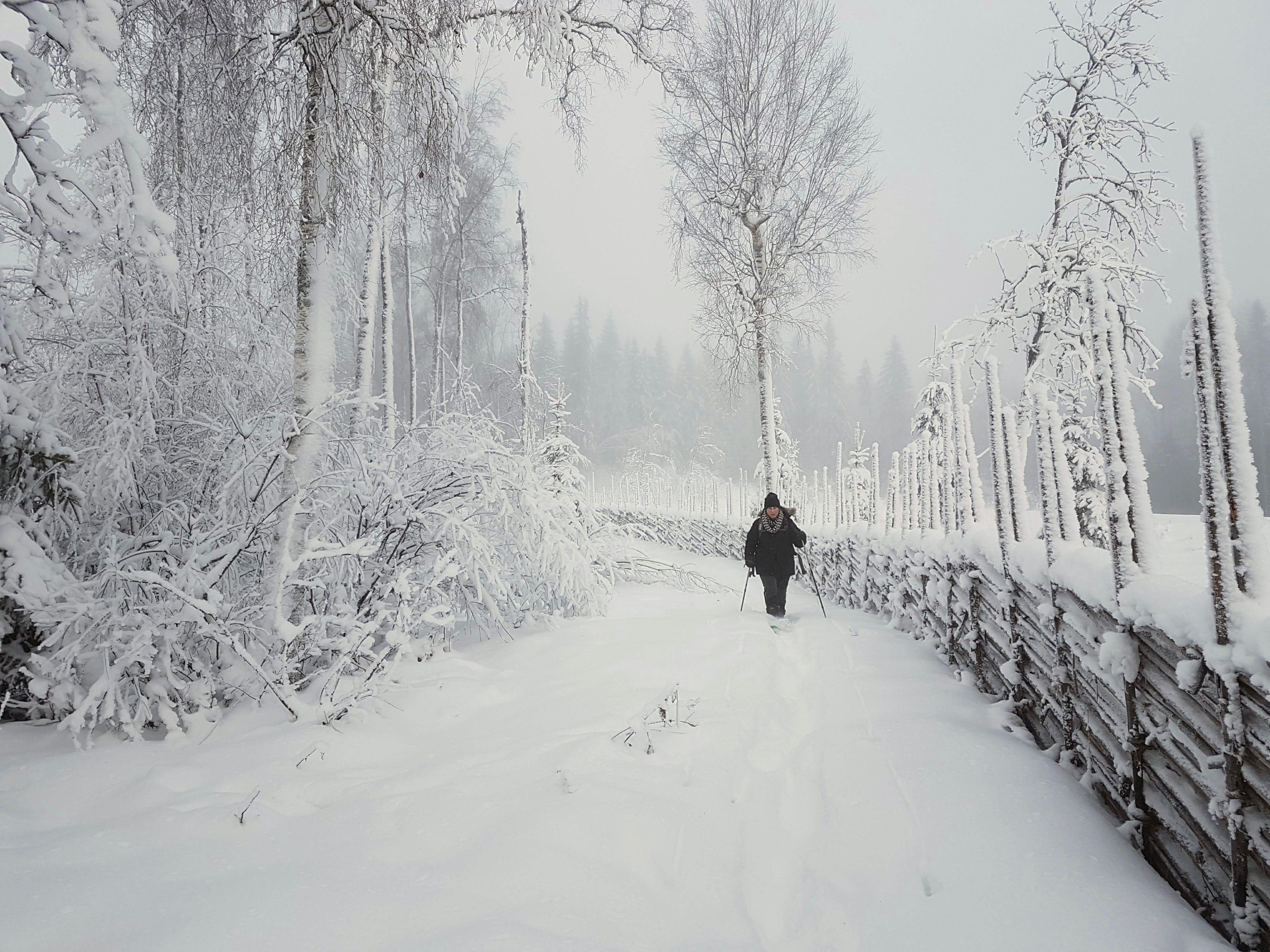 Vandrare med snöskor.