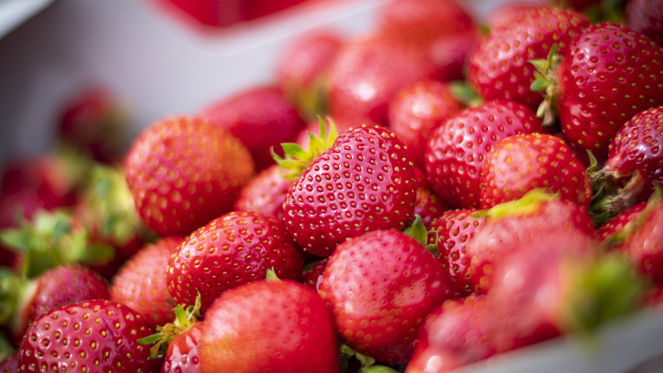 Solleröjordgubbar i en skål.