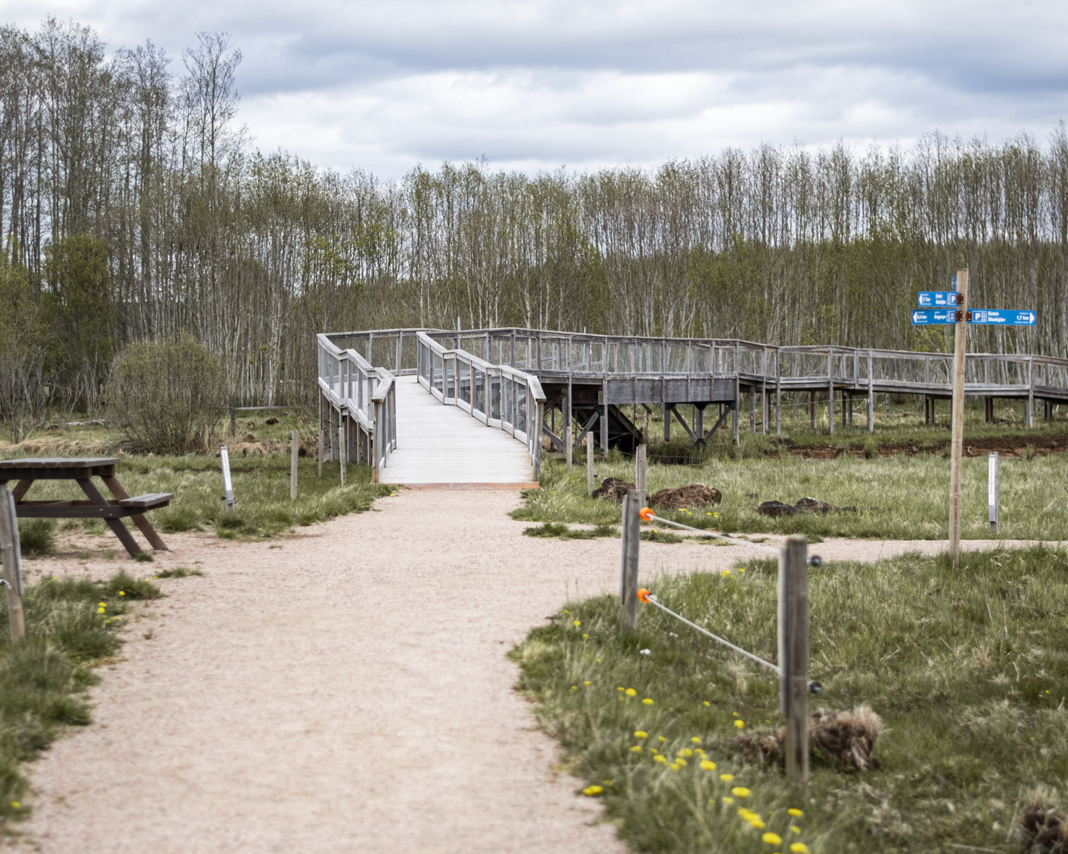 Led vid Stadssjön i Hedemora