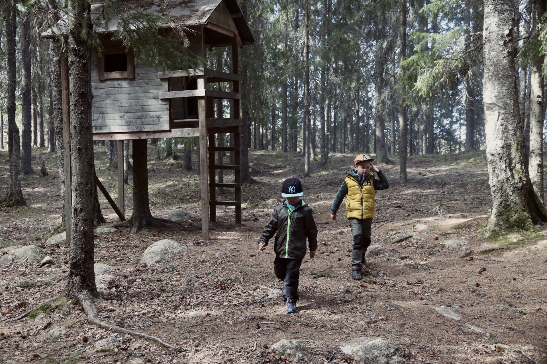 Barns om leker på en vildmarkslekplats.
