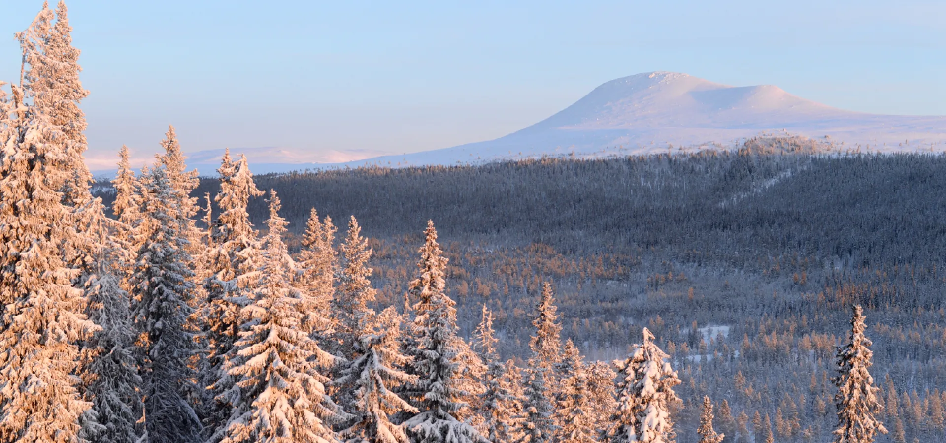 Vintervy mot fjälltoppen Städjan.
