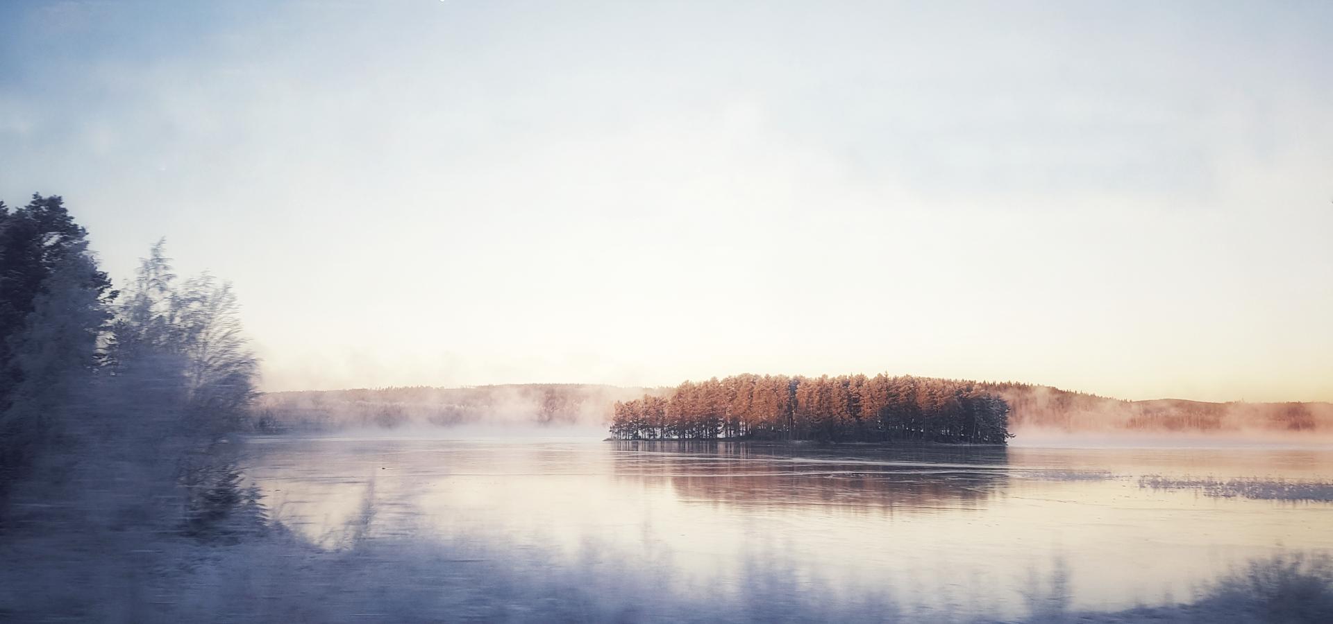 Vinterfrost vid sjö.
