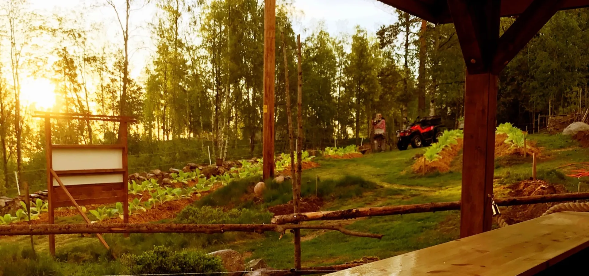 Utsikt över trädgård på Bergstrands cigars.