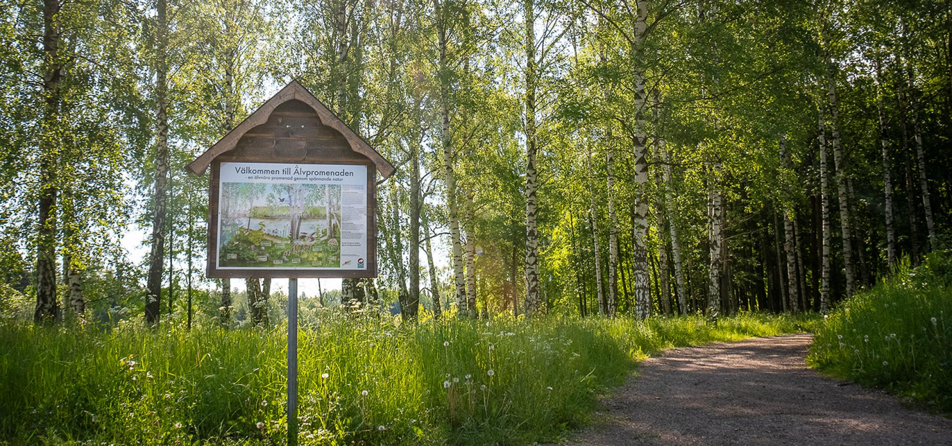 En informationsskylt för Älvpromenaden bredvid en stig i skogen.
