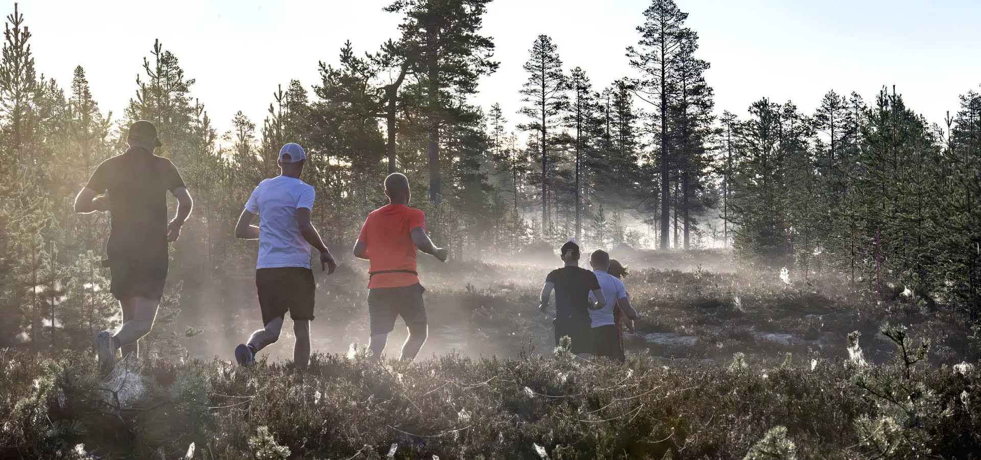 Vasaloppets Sommarvecka