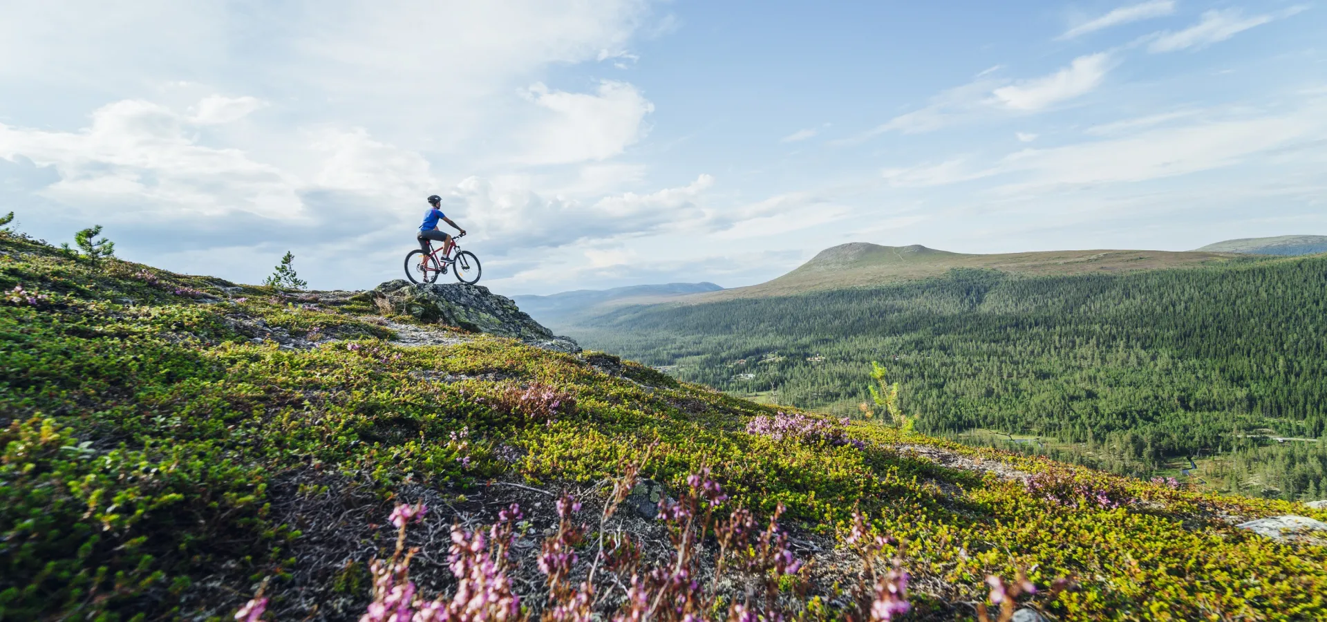 Cyklister på Idre Fjäll.