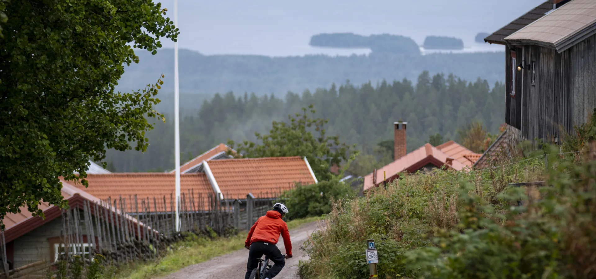 En man cyklar i fäbodlandskap sommartid.