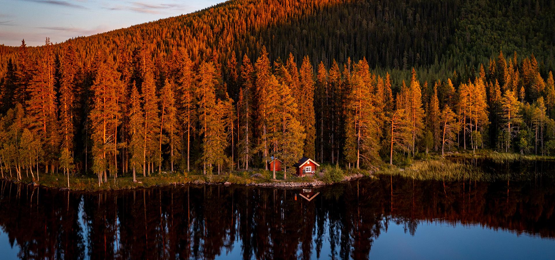 En liten röd stuga vid kanten av en sjö med djup skog bakom.
