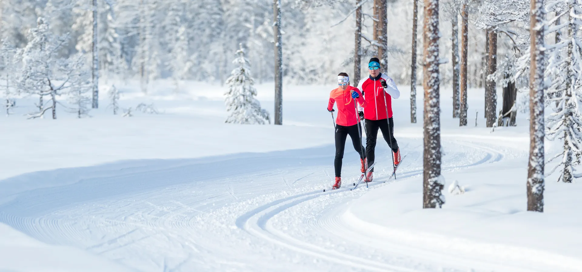 Två längdskidåkare i skidspår bland vintriga träd.