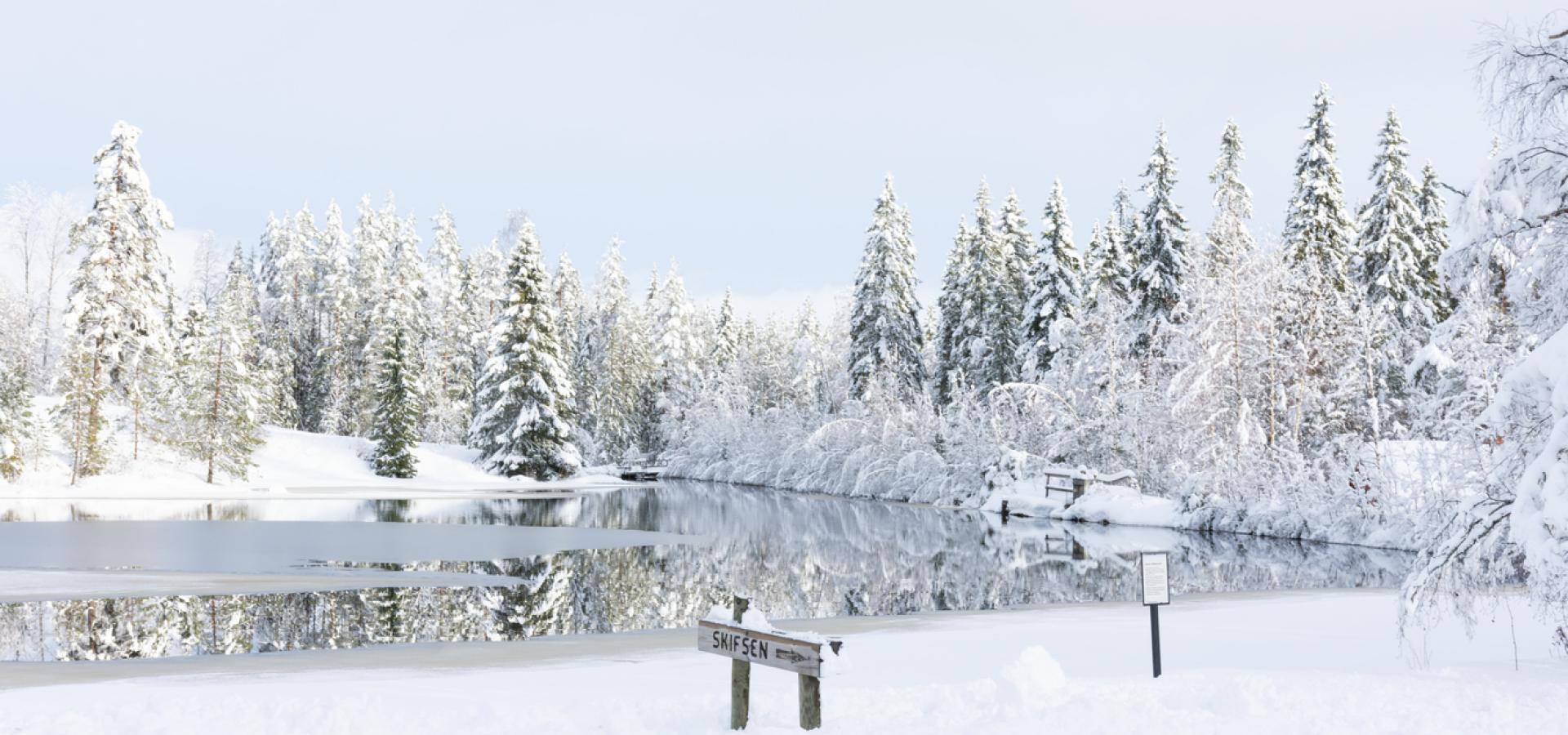 Vinterlandskap vid frusen sjö.