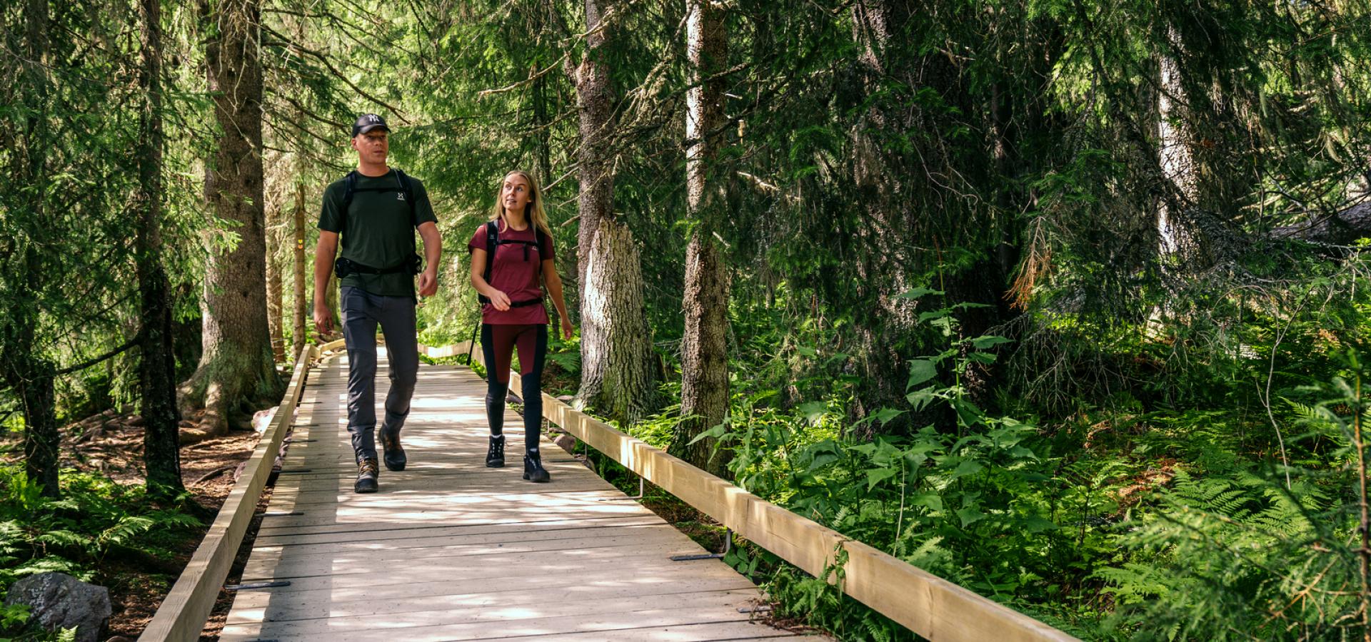 Par som vandrar på led i skog.