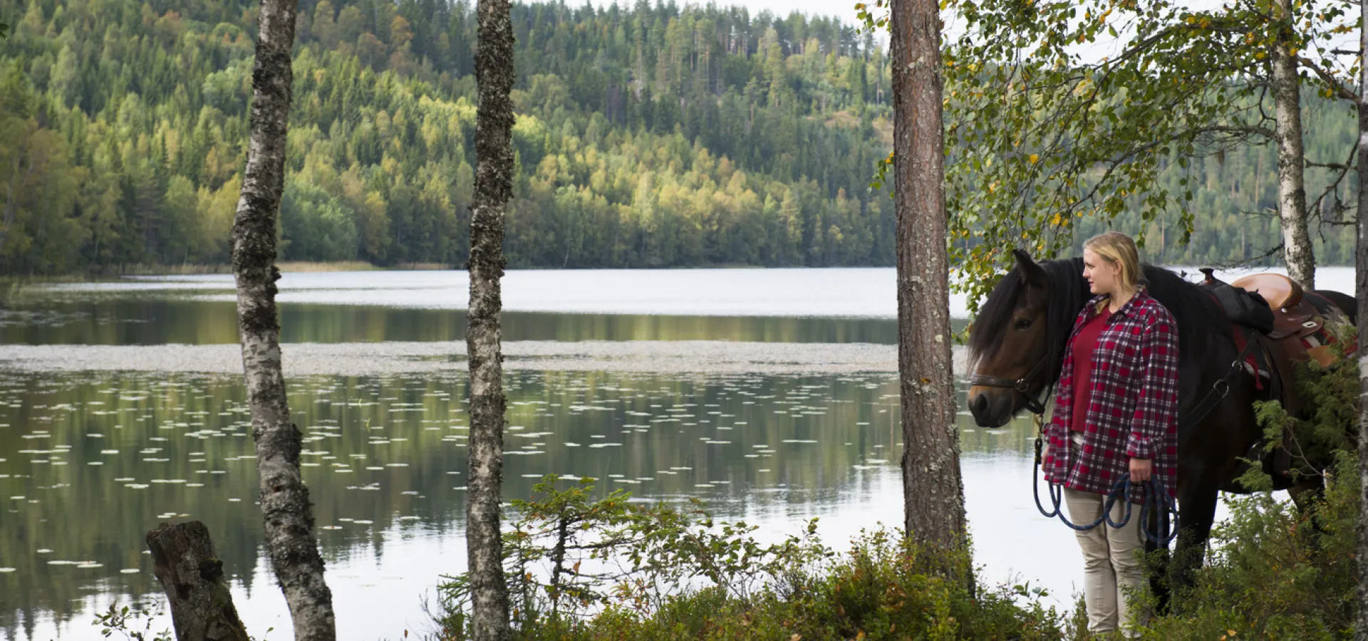 Häst vid sjökant i Rättvik.