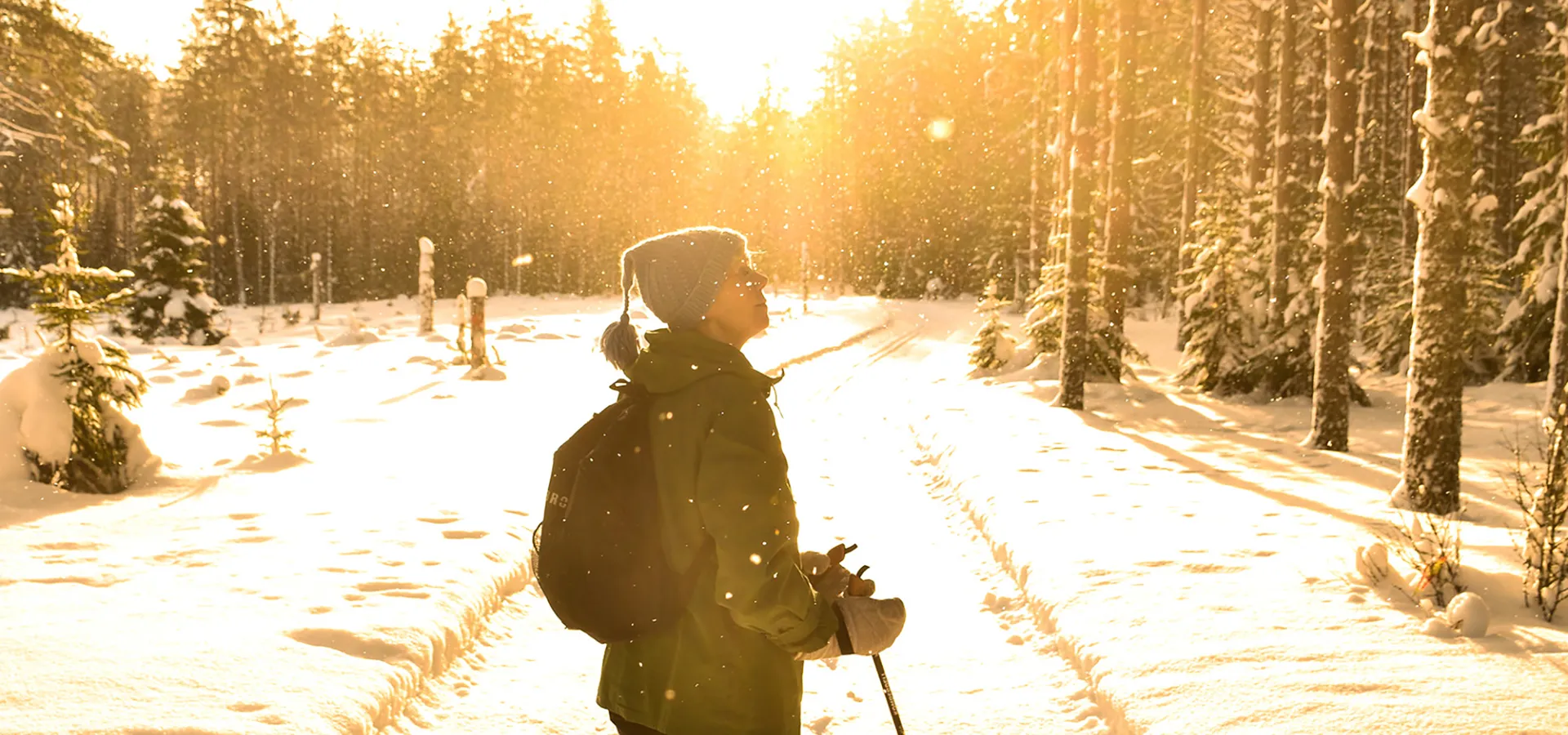En person på skidor står i ett spår i motljus.