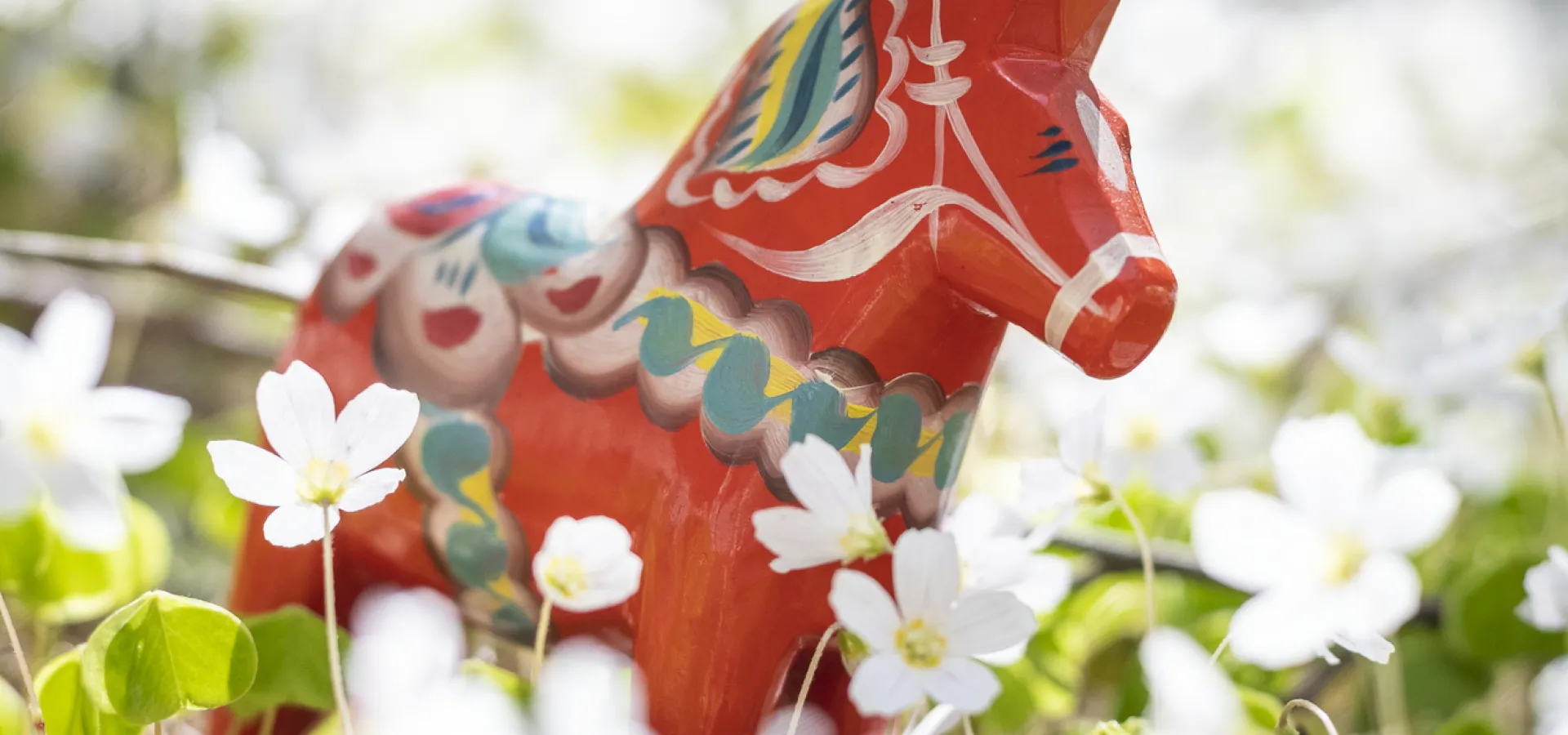 Dalahäst stående bland vitsippor