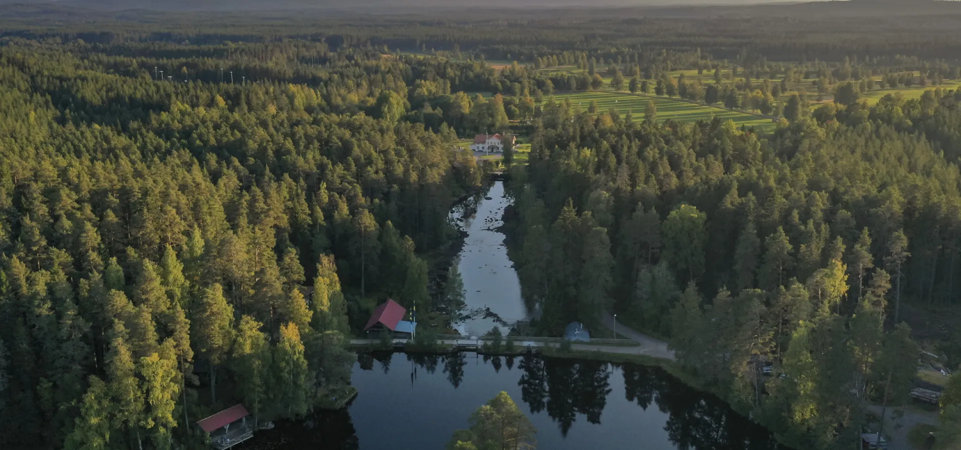 Utsikt över älv och skog i solnedgången sommartid.