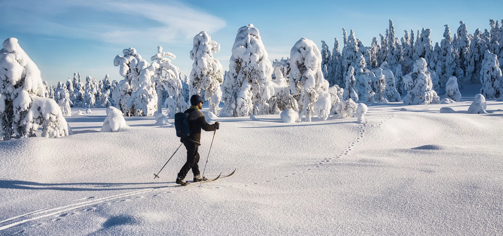 En skidåkare i soligt vinterlandskap.