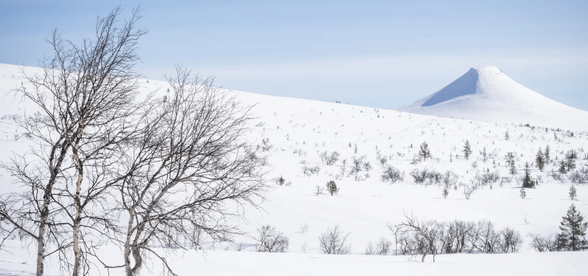 Vy över Städjan i Idre på vintern.