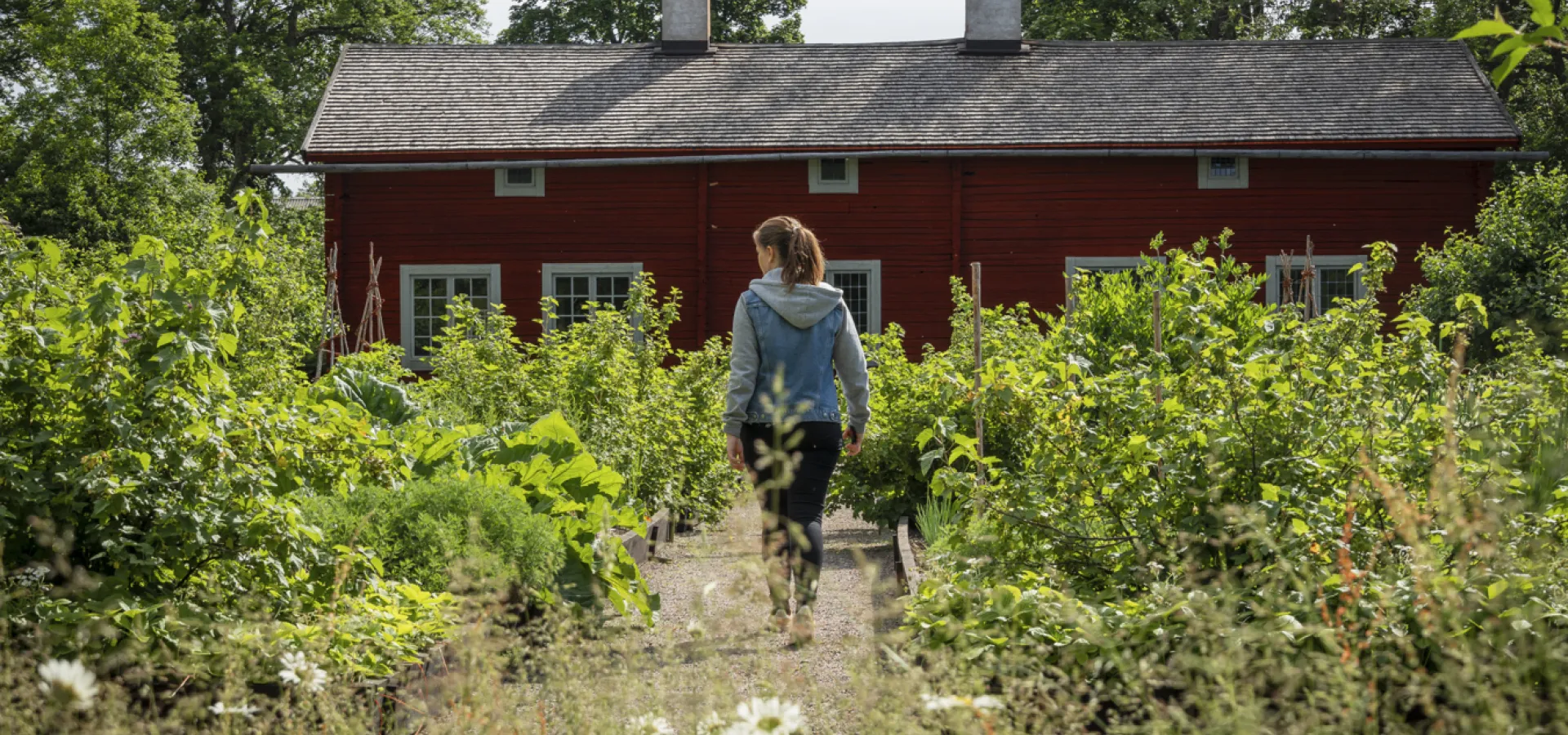 Kvinna går i grönskande trädgård sommartid.