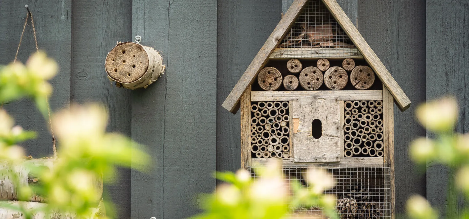 Bihotell på naturum Dalarna i Siljansnäs.