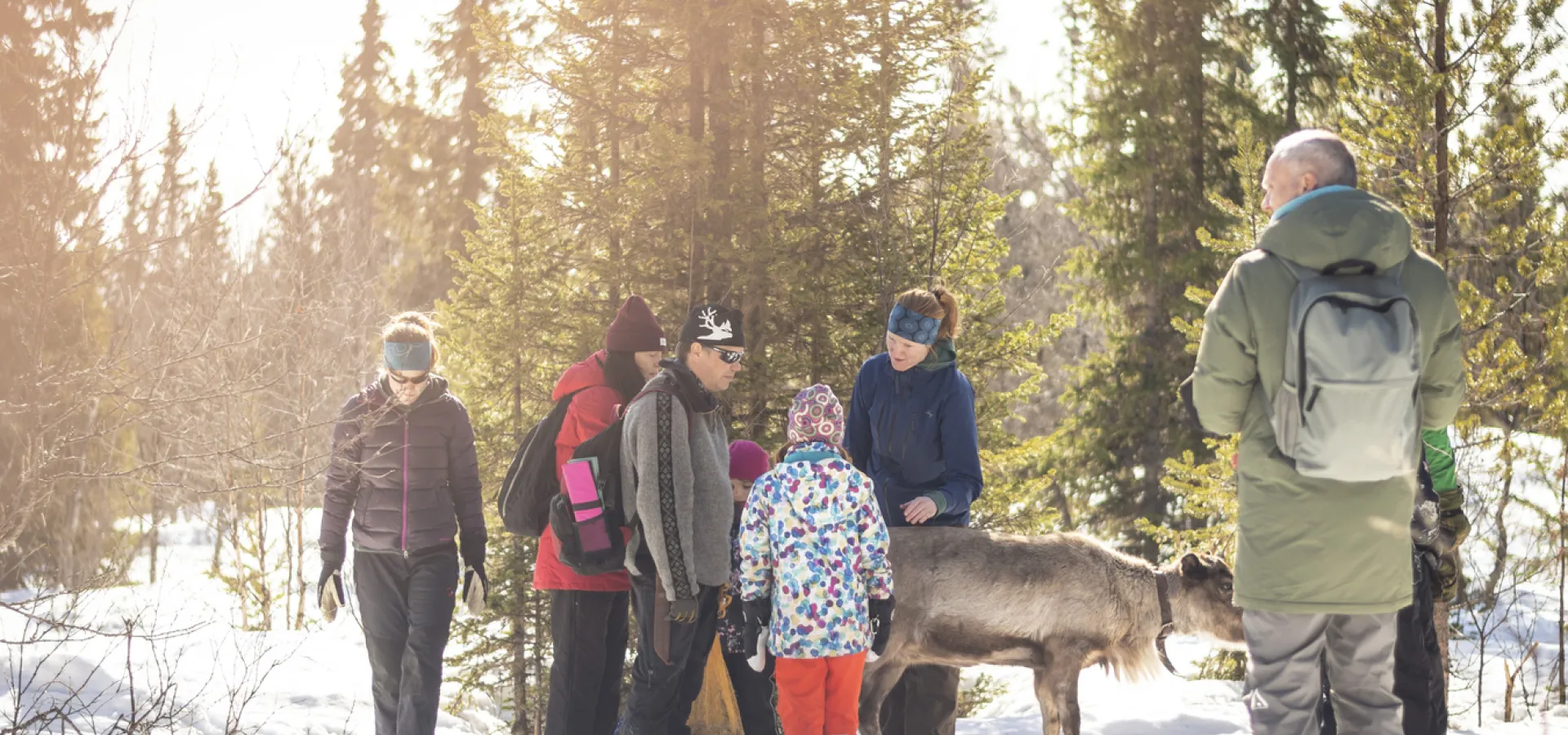 Vandring med renar i snö.