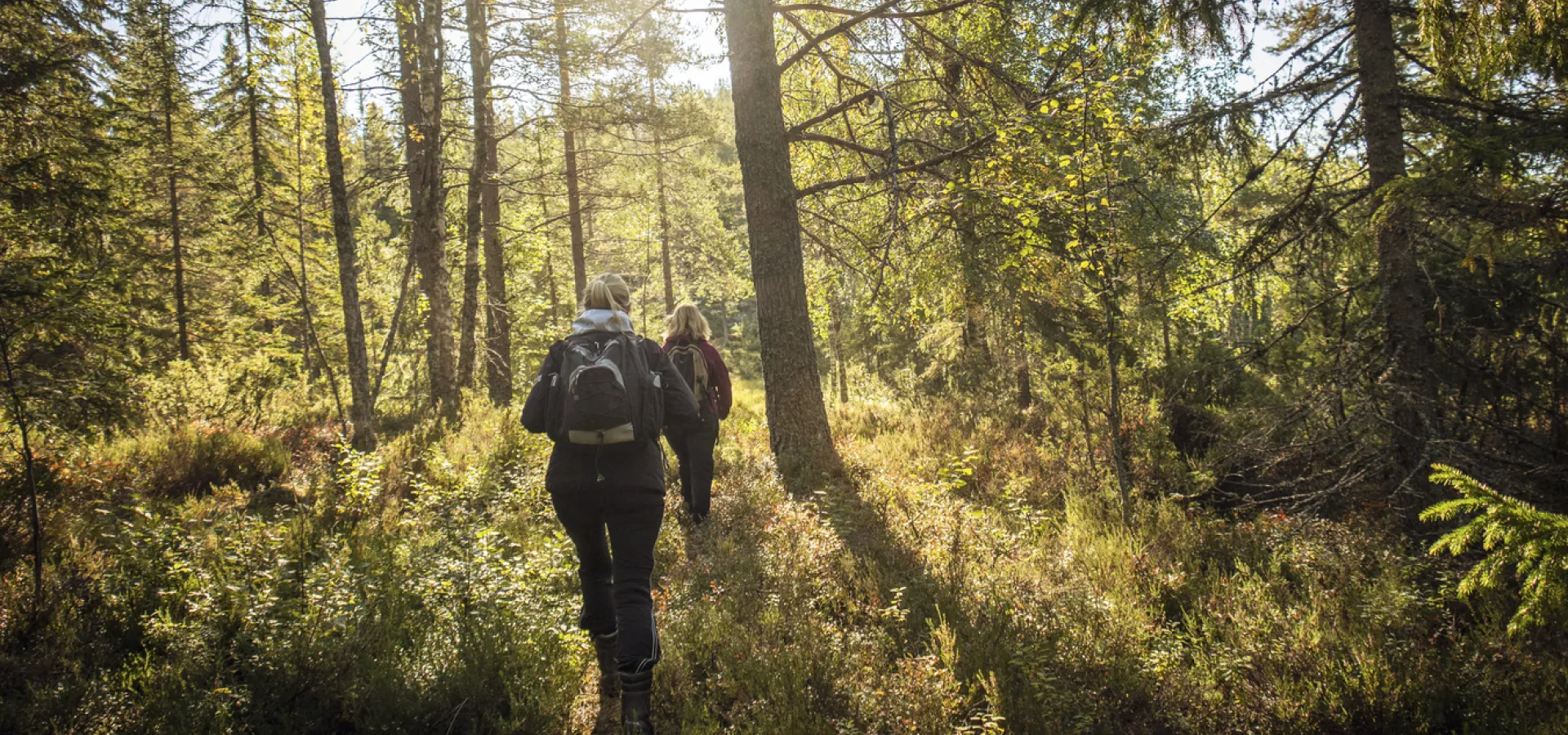 Skinnaråsen Leksand Vandra