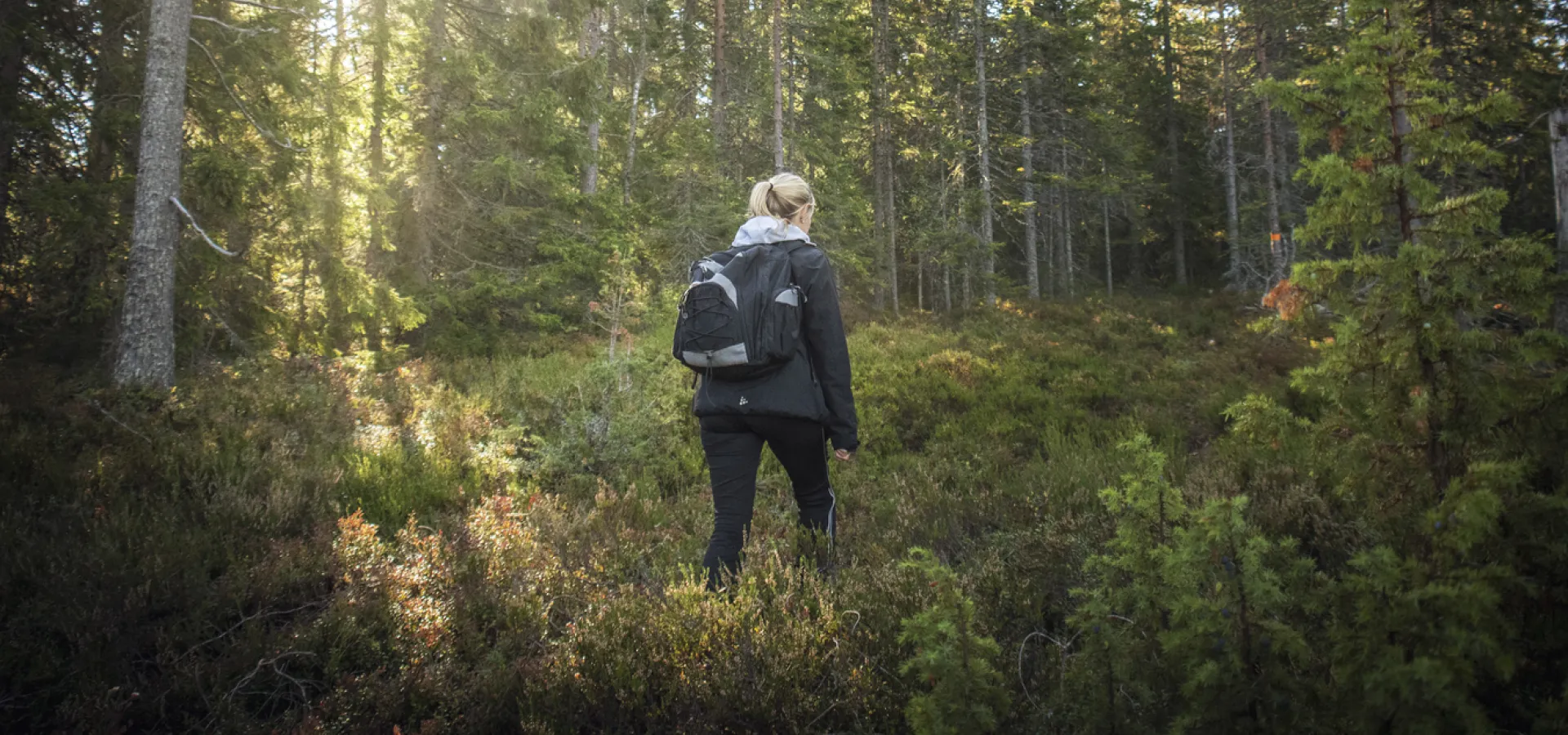 Tjej som vandrar i skogen.