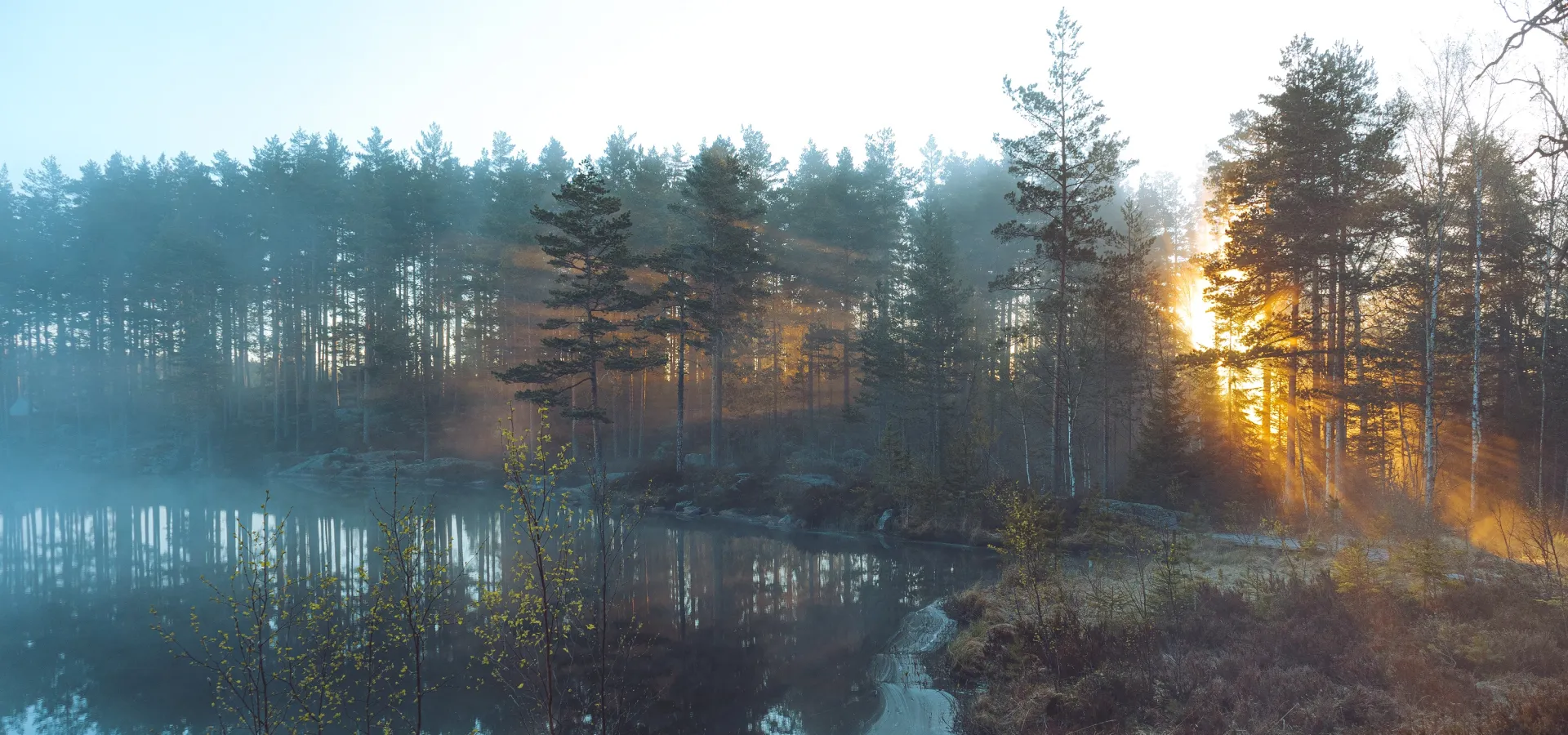 Soluppgång över sjö och skog.