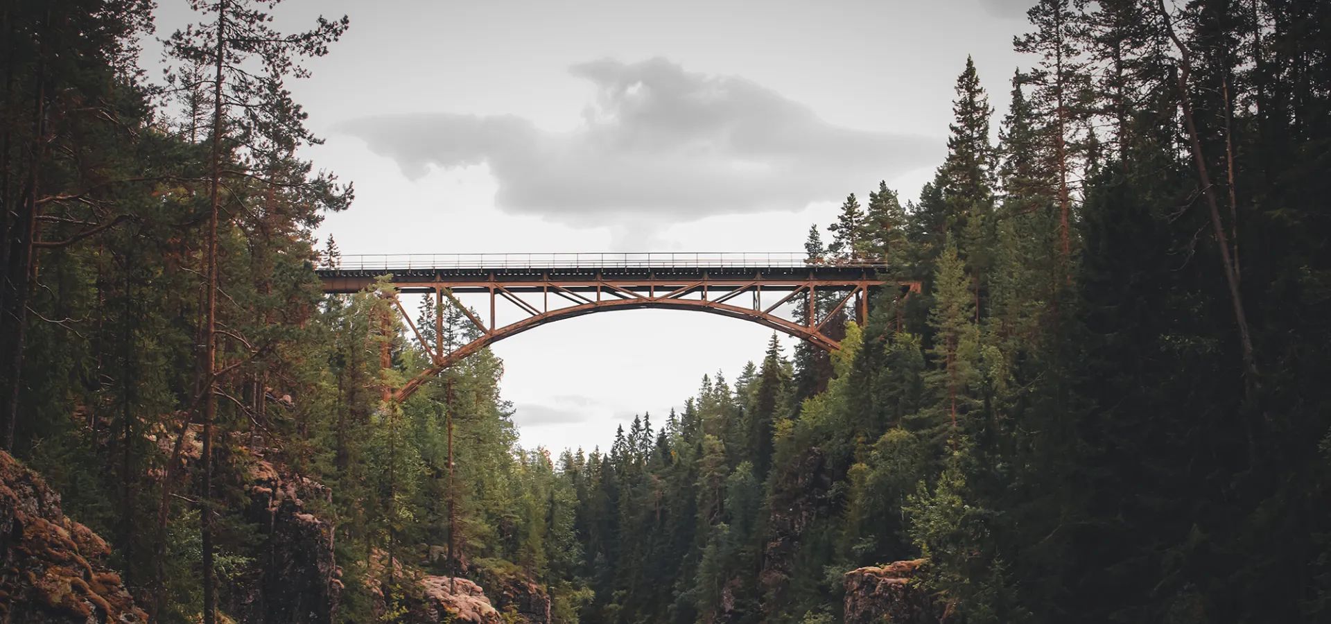 Storstupet, en bro går högt över vattnet med mörka träd på båda sidor.