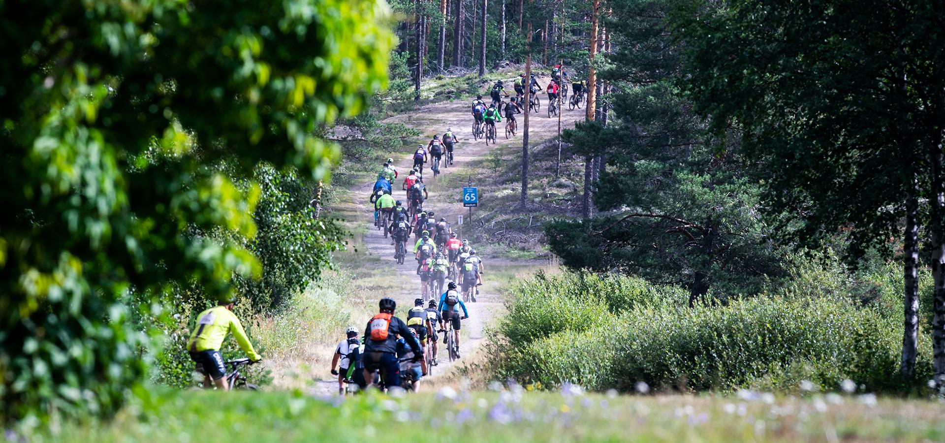 En stor grupp cyklister på en grusväg genom skogen.