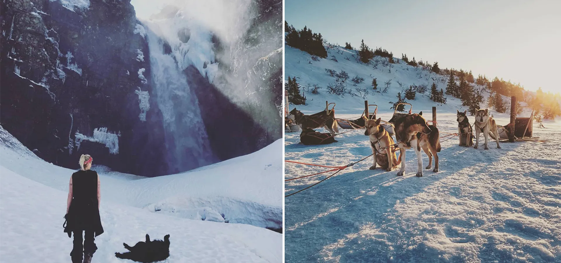 Collage med Maria Wettersskog framför Njupeskärs vattenfall och en samling med draghundar.