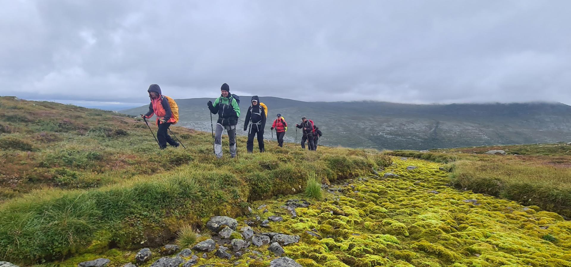 En grupp vandrar över ett grönt fjäll.