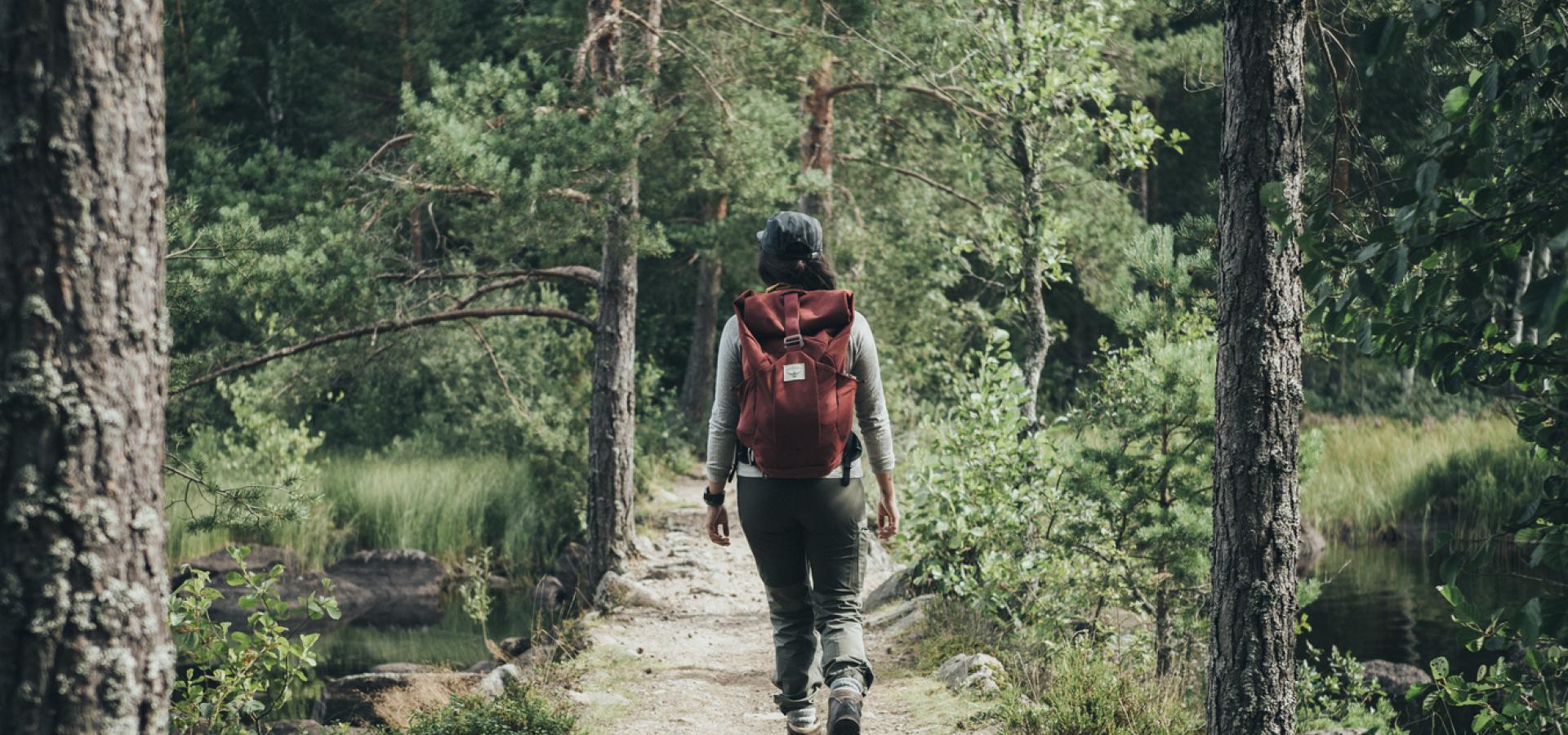 Kvinna vandrar i skogen i Dalarna.