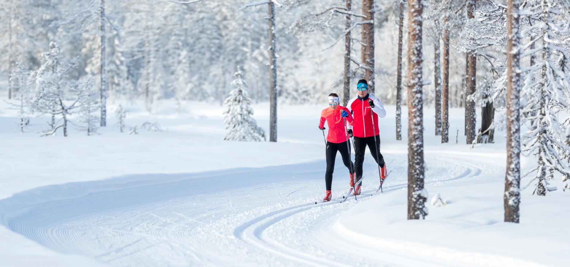 Two people cross-country skiing in a wintry forest.
