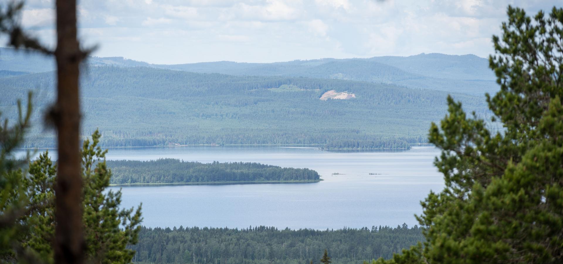 Utsikt från Björkberget i Siljansnäs, vid naturum Dalarna.
