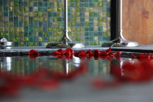 Rose petals floating in a pool.