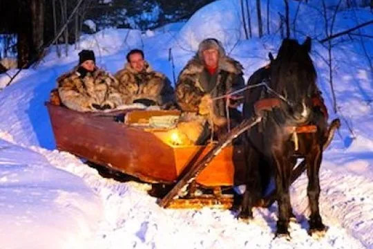 Horse and sledge in the winter darkness.