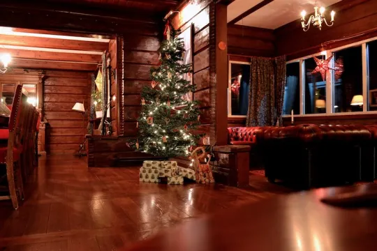 Uppklädd julgran i lobby.